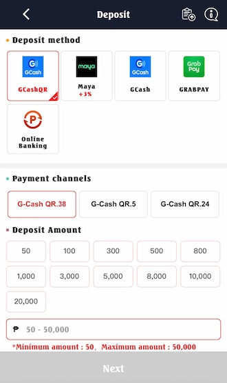 Step 2: Enter the deposit amount and click NEXT.